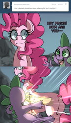 Size: 748x1294 | Tagged: safe, artist:uc77, character:pinkie pie, character:spike, species:dragon, species:earth pony, species:pony, cutie mark, female, fist, hotblooded pinkie pie, male, punch, tumblr