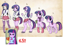 Size: 893x632 | Tagged: safe, artist:shepherd0821, edit, character:twilight sparkle, character:twilight sparkle (unicorn), species:anthro, species:human, species:pony, species:unguligrade anthro, species:unicorn, my little pony:equestria girls, anthro chart, anthro with ponies, bipedal, breasts, busty twilight sparkle, female, humanized, line-up, scale, semi-anthro