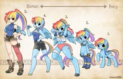 Size: 1600x1035 | Tagged: safe, artist:shepherd0821, character:rainbow dash, species:anthro, species:human, species:pony, species:unguligrade anthro, anthro chart, anthro with ponies, belly button, bipedal, chart, clothing, high-cut clothing, humanized, line-up, midriff, ponytail, salute, semi-anthro, sports panties, unshorn fetlocks
