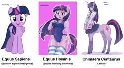 Size: 1585x874 | Tagged: safe, artist:couldysky, artist:kazeco, artist:shepherd0821, character:twilight sparkle, character:twilight sparkle (alicorn), species:alicorn, species:anthro, species:centaur, species:pony, species:unguligrade anthro, ambiguous facial structure, arial, blouse, chimaera centaurus, clothing, cutie mark, eared humanization, equus hominis, equus sapiens, horned humanization, humanized, hybrid, necktie, one-piece swimsuit, pleated skirt, realistic horse legs, science, skirt, socks, striped socks, sukumizu, swimsuit, taxonomy
