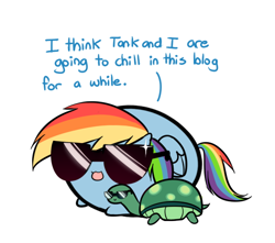 Size: 574x508 | Tagged: safe, artist:pekou, character:rainbow dash, character:tank, ask my little chubbies, chubbie, cute, dashabetes, sunglasses
