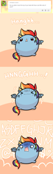 Size: 600x1948 | Tagged: safe, artist:pekou, character:rainbow dash, ask my little chubbies, chubbie