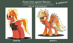 Size: 1255x744 | Tagged: safe, artist:ruhisu, oc, oc only, oc:brave wing, oc:wild tempest, species:pegasus, species:pony, clothing, daughter, draw this again, female, jacket, mare, medal, pilot, redesign, smiling, solo