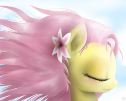 Size: 1000x800 | Tagged: dead source, safe, artist:mlpanon, character:fluttershy, blushing, bust, cute, eyes closed, flower in hair, portrait, profile, shyabetes, solo, windswept mane