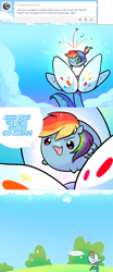 Size: 672x1608 | Tagged: safe, artist:pekou, character:rainbow dash, species:pegasus, species:pony, ask my little chubbies, chubbie, ask, comic, female, flower, mare, solo, tumblr