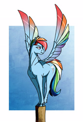 Size: 2392x3512 | Tagged: safe, artist:akweer, character:rainbow dash, species:pegasus, species:pony, colored wings, colored wingtips, female, looking back, mare, multicolored wings, rainbow wings, solo