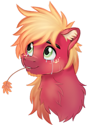 Size: 553x775 | Tagged: safe, artist:prince-lionel, character:big mcintosh, species:earth pony, species:pony, bust, crying, ear fluff, facial hair, freckles, looking up, male, neck fluff, smiling, solo, stallion, straw in mouth, tears of joy