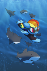 Size: 1000x1493 | Tagged: safe, anonymous artist, character:rainbow dash, species:pegasus, species:pony, /mlp/, g4, diving, drawthread, requested art, scuba, scuba diving, shark, solo, swimming, underwater, wetsuit