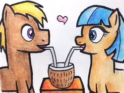Size: 1980x1500 | Tagged: safe, artist:melisareb, character:coco crusoe, character:coco pommel, species:earth pony, species:pony, coconut, crack shipping, female, food, heart, looking at each other, male, mare, name pun, pommelcrusoe, shipping, stallion, straight, traditional art