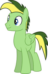 Size: 4000x6045 | Tagged: safe, artist:melisareb, oc, oc only, oc:didgeree, species:pegasus, species:pony, absurd resolution, inkscape, male, simple background, solo, stallion, transparent background, vector