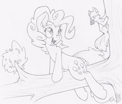 Size: 800x682 | Tagged: safe, artist:dfectivedvice, character:pinkie pie, grayscale, monochrome, open mouth, sketch, solo, squirrel, tree, tree branch