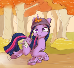 Size: 1350x1237 | Tagged: safe, artist:alasou, character:twilight sparkle, character:twilight sparkle (alicorn), species:alicorn, species:pony, 42, autumn, beanie, chest fluff, clothing, colored pupils, ear fluff, female, fluffy, hat, horn impalement, leaf, lidded eyes, mare, running of the leaves, solo, unamused, unicorn problems, unshorn fetlocks, winter coat