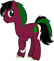 Size: 1000x1137 | Tagged: safe, artist:ambassad0r, oc, oc only, oc:red cedar, species:earth pony, species:pony, 2018 community collab, derpibooru community collaboration, green eyes, green hair, green mane, male, simple background, solo, stallion, transparent background, vector