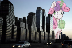 Size: 1920x1285 | Tagged: safe, artist:alasou, character:sweetie belle, species:pony, city, giant pony, irl, macro, mega sweetie belle, photo, ponies in real life, solo
