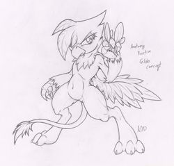Size: 1044x1000 | Tagged: safe, artist:dfectivedvice, character:gilda, species:griffon, grayscale, monochrome, parasprite, semi-anthro, traditional art