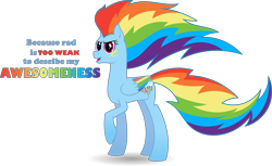 Size: 6000x3669 | Tagged: safe, artist:ambassad0r, character:rainbow dash, absurd resolution, alternate hairstyle, colored wings, multicolored wings, rainbow power, rainbow wings, simple background, solo, transparent background, vector