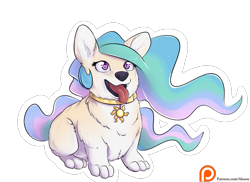Size: 1375x1000 | Tagged: safe, artist:alasou, character:princess celestia, species:dog, cheek fluff, chest fluff, collar, corgi, cute, cutelestia, ear fluff, fangs, female, fluffy, leg fluff, looking up, open mouth, patreon, patreon logo, shoulder fluff, simple background, sitting, smiling, solo, species swap, sunmutt, tongue out, transparent background