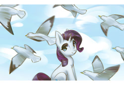 Size: 1500x1030 | Tagged: safe, artist:mirroredsea, character:rarity, species:pony, species:seagull, species:unicorn, female, looking at you, mare, smiling, solo