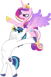 Size: 479x727 | Tagged: safe, artist:wcctnoam, manebooru original, character:princess cadance, character:shining armor, species:alicorn, species:pony, species:unicorn, g4, simple background, transparent background, vector, yeet