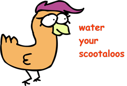 Size: 1308x889 | Tagged: safe, artist:riddleoflightning, character:scootaloo, oc, species:chicken, g4, comic sans, simple background, solo, species swap, text, transparent background