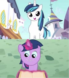 Size: 358x400 | Tagged: safe, edit, screencap, character:shining armor, character:twilight sparkle, episode:a canterlot wedding, g4, my little pony: friendship is magic, face swap, filly, filly twilight sparkle, meme, not salmon, twily, twily face, wat