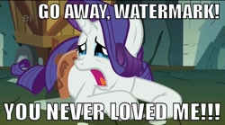 Size: 638x355 | Tagged: safe, edit, edited screencap, screencap, character:rarity, episode:a dog and pony show, g4, my little pony: friendship is magic, crying, ei, female, image macro, meme, solo, text