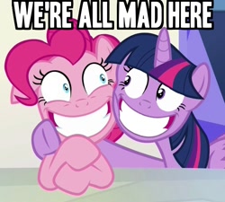 Size: 668x600 | Tagged: safe, edit, edited screencap, screencap, character:pinkie pie, character:twilight sparkle, character:twilight sparkle (alicorn), species:alicorn, episode:party pooped, g4, my little pony: friendship is magic, alice in wonderland, angry, caption, face swap, image macro, insanity, meme, text, twilight snapple, we're all mad here