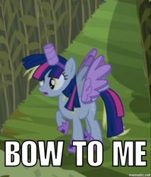 Size: 638x750 | Tagged: safe, edit, edited screencap, screencap, character:derpy hooves, character:twilight sparkle, character:twilight sparkle (alicorn), species:alicorn, species:pony, episode:scare master, g4, my little pony: friendship is magic, alicorn costume, clothing, costume, fake horn, fake wings, female, image macro, mare, meme, nightmare night, nightmare night costume, toilet paper roll, toilet paper roll horn, twilight muffins, wig
