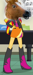 Size: 120x268 | Tagged: safe, edit, edited screencap, screencap, character:sunset shimmer, equestria girls:rainbow rocks, g4, my little pony: equestria girls, my little pony:equestria girls, 1000 years in photoshop, female, funny, hoers, hoers mask, horse head, joke, lol, mask, meme, not salmon, screenshot by lightshot, solo, wat, what has science done