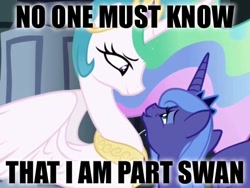 Size: 480x360 | Tagged: safe, edit, edited screencap, screencap, character:princess celestia, character:princess luna, species:alicorn, species:pony, episode:friendship is magic, g4, my little pony: friendship is magic, artifact, eye contact, female, happy, image macro, lidded eyes, long neck, looking at each other, mare, open mouth, s1 luna, size difference, smiling, spread wings, swanlestia, text, wat, wings