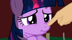 Size: 1022x568 | Tagged: safe, edit, screencap, character:twilight sparkle, episode:dragon quest, g4, my little pony: friendship is magic, boop, boop edit, finger, hand, scrunchy face