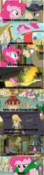 Size: 500x1986 | Tagged: safe, edit, edited screencap, screencap, character:cranky doodle donkey, character:pinkie pie, species:donkey, species:earth pony, species:pony, episode:a friend in deed, g4, my little pony: friendship is magic, check, comic, list, ponyville, screencap comic