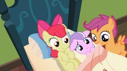 Size: 1366x768 | Tagged: safe, edit, screencap, character:apple bloom, character:diamond tiara, character:scootaloo, species:pegasus, species:pony, episode:family appreciation day, g4, my little pony: friendship is magic, crying, floppy ears, shipper on deck