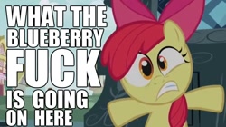 Size: 852x478 | Tagged: safe, edit, edited screencap, screencap, character:apple bloom, episode:bridle gossip, g4, my little pony: friendship is magic, blueberry, caption, female, frown, gritted teeth, hiding, image macro, reaction image, scared, solo, vulgar, wide eyes