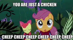 Size: 640x356 | Tagged: safe, edit, edited screencap, screencap, character:apple bloom, character:scootaloo, species:chicken, species:pegasus, species:pony, episode:stare master, g4, my little pony: friendship is magic, caption, duo, ei, hub logo, scootachicken, the room
