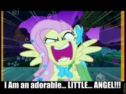 Size: 600x450 | Tagged: safe, edit, edited screencap, screencap, character:fluttershy, episode:the best night ever, g4, my little pony: friendship is magic, angry, caption, cats don't dance, clothing, darla dimple, dress, ei, female, flutterrage, gala dress, hub logo, movie quote, roflbot, solo