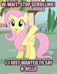 Size: 552x718 | Tagged: safe, edit, edited screencap, screencap, character:fluttershy, species:pegasus, species:pony, g4, bronybait, caption, cute, faec, female, funny, image macro, looking at you, mare, meme, open mouth, pink text, shyabetes, smiling, solo, stuttering, tree, underhoof, waving