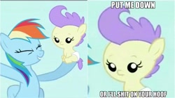 Size: 6144x3456 | Tagged: safe, edit, edited screencap, screencap, character:cream puff, character:rainbow dash, species:pony, episode:the mysterious mare do well, g4, my little pony: friendship is magic, baby, baby pony, caption, comic, humor, meme, screencap comic, serious, vulgar