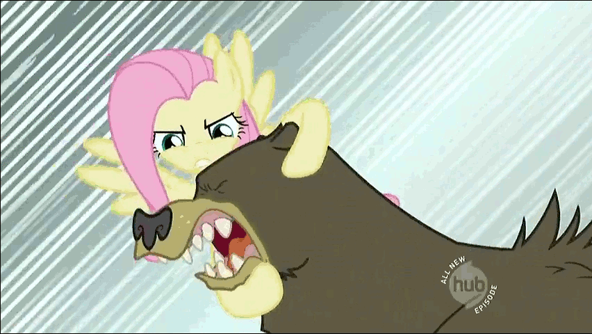 Size: 852x480 | Tagged: safe, edit, edited screencap, screencap, character:fluttershy, character:harry, episode:lesson zero, g4, my little pony: friendship is magic, animated, bear, hub logo, loop, neck snap, out of context