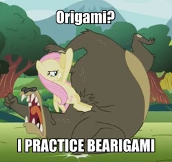 Size: 441x415 | Tagged: safe, edit, edited screencap, screencap, character:fluttershy, character:harry, episode:lesson zero, g4, my little pony: friendship is magic, bear, cropped, duo, image macro, origami