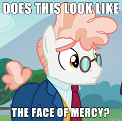Size: 610x602 | Tagged: safe, edit, edited screencap, screencap, character:svengallop, episode:the mane attraction, g4, my little pony: friendship is magic, face of mercy, image macro, meme, sad, solo, svenabetes