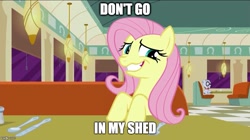 Size: 888x499 | Tagged: safe, edit, edited screencap, screencap, character:fluttershy, character:mr. waddle, .mov, episode:the saddle row review, g4, my little pony: friendship is magic, faec, fluttershed, image macro, meme, shed.mov