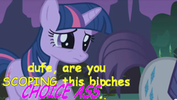 Size: 624x353 | Tagged: safe, edit, edited screencap, screencap, character:rarity, character:twilight sparkle, species:pony, species:unicorn, caption, comic sans, eyes on the prize, female, mare, sweet bro and hella jeff, text, vulgar