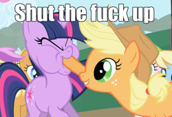 Size: 1051x713 | Tagged: safe, edit, edited screencap, screencap, character:applejack, character:twilight sparkle, episode:friendship is magic, g4, my little pony: friendship is magic, abuse, caption, cropped, hoof in mouth, hoofjack, hooves, image macro, out of context, picture for breezies, punch, shut the fuck up, shut up, stfu, text, twilybuse, vulgar