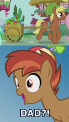 Size: 506x882 | Tagged: safe, edit, edited screencap, screencap, character:button mash, character:fluttershy, character:lyra heartstrings, character:quarter hearts, species:pony, episode:flutter brutter, g4, my little pony: friendship is magic, caption, cart, colt, cutie mark, gemstones, heart container, image macro, link, male, meme, rupee, text, the legend of zelda