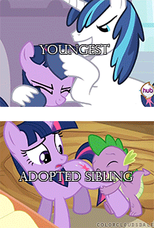 Size: 217x320 | Tagged: safe, edit, edited screencap, screencap, character:shining armor, character:spike, character:twilight sparkle, species:dragon, species:pony, species:unicorn, animated, caption, female, filly, filly twilight sparkle, hug, image macro, leg hug, male, mare, meme, simple background, stallion, transparent background, younger