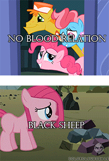 Size: 217x320 | Tagged: safe, edit, edited screencap, screencap, character:carrot cake, character:cup cake, character:igneous rock pie, character:limestone pie, character:marble pie, character:pinkie pie, ship:carrot cup, animated, caption, female, image macro, male, meme, pie family, pie sisters, quartzrock, shipping, siblings, simple background, sisters, transparent background