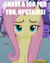 Size: 490x624 | Tagged: safe, edit, edited screencap, screencap, character:fluttershy, episode:flutter brutter, g4, my little pony: friendship is magic, bedroom eyes, blushing, caption, i'll be waiting for you upstairs, image macro, meme, smugshy
