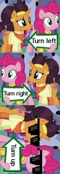 Size: 471x1361 | Tagged: safe, edit, edited screencap, screencap, character:pinkie pie, character:saffron masala, episode:spice up your life, g4, my little pony: friendship is magic, clever, deal with it, exploitable meme, meme, pinkie pie's sign
