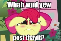 Size: 276x183 | Tagged: safe, edit, screencap, character:apple bloom, species:earth pony, species:pony, episode:call of the cutie, g4, my little pony: friendship is magic, adorabloom, blushing, bow, cute, female, filly, floppy ears, frown, hair bow, image macro, looking at you, pouting, sad, text